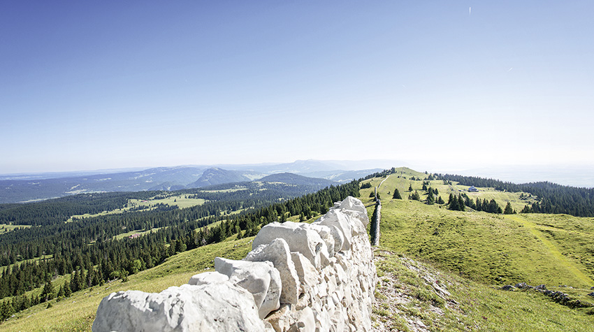 Vallée de joux